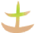土